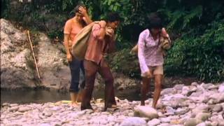 Orangutan  Orphans of the Forest. Bukit Lawang, Indonesia, 1976. Part 4 of 4