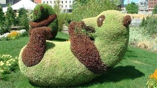 ТОПИАРИ. УНИКАЛЬНЫЕ ФИГУРЫ ИЗ ЦВЕТОВ И РАСТЕНИЙ TOPIARY. UNIQUE FIGURES FROM FLOWERS AND PLANTS