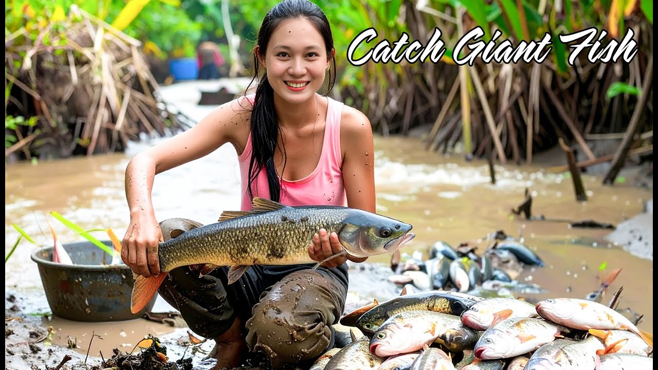Green Life: 72 Hours Harvesting 1000+ Fresh Fish for Sale & DIY Farm Renovation!