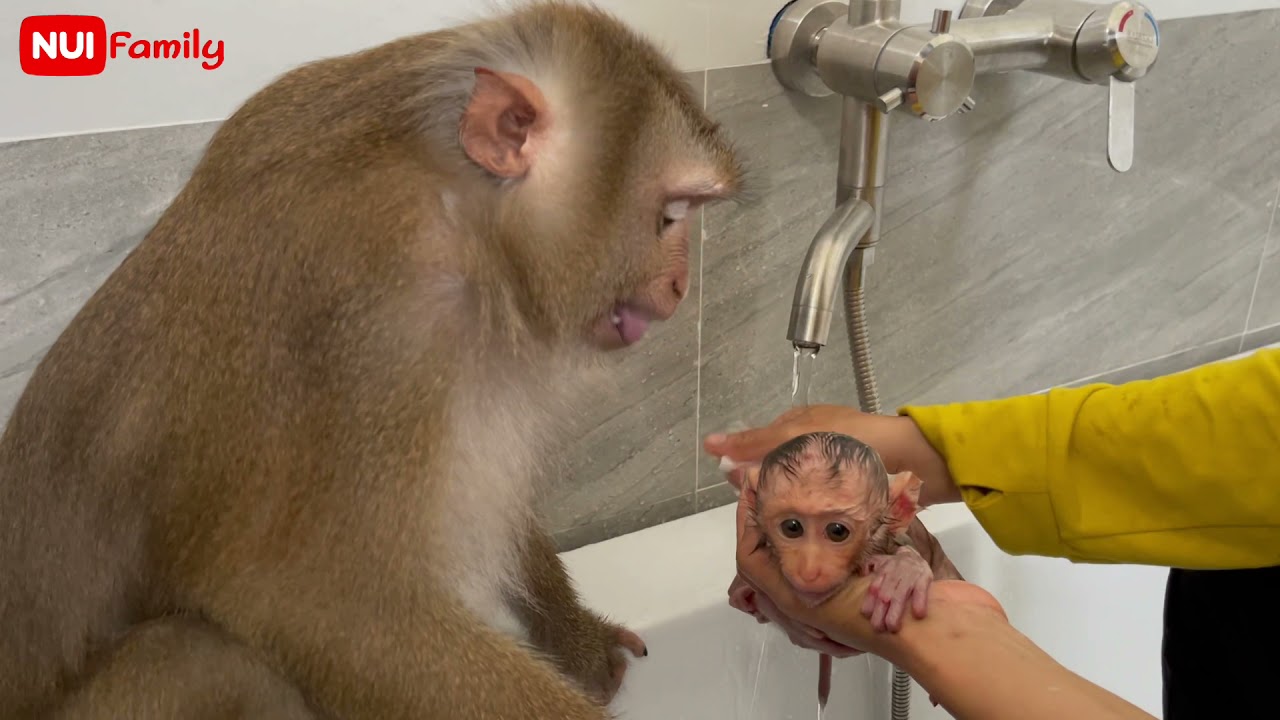 Nui and her daughter Poni bathing are very cute and obedient | Nui Family