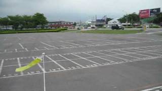 align trex 250 in洲際990505.wmv
