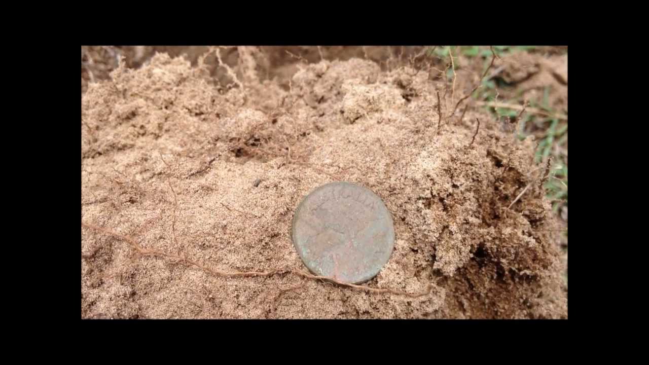 Metal Detecting in Queensland Australia YouTube