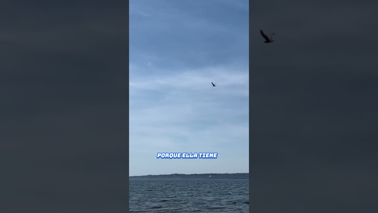 El Secreto del éxito de Razziigrows