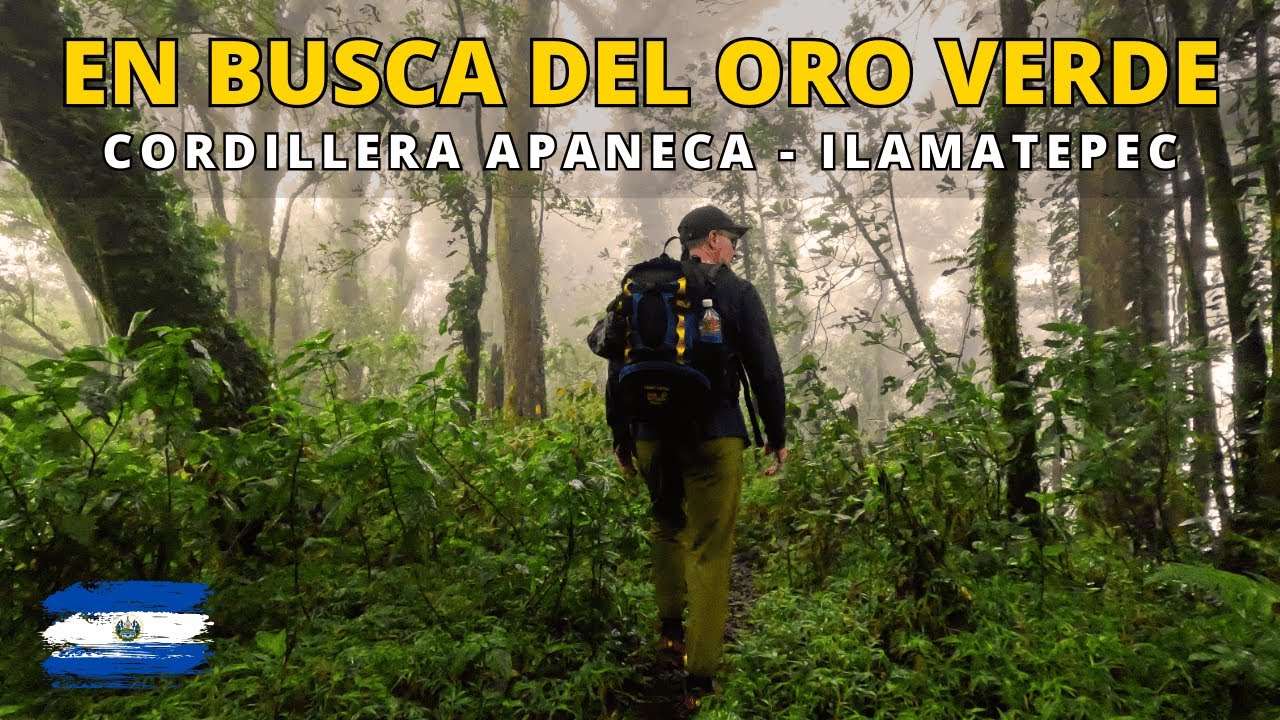 En busca del ORO VERDE en la Cordillera Apaneca / Ilamatepec (El Salvador 🇸🇻)