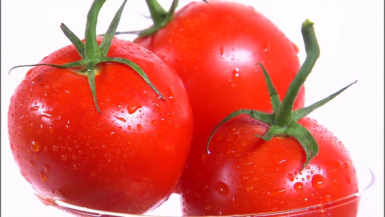 Tomatoes YouTube