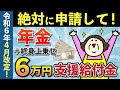 【知らないと大損】年金＋6万円の終身上乗せ！「年金生活者支援給付金」とは？2024年の給付金額、支給条件、申請方法を解説します【老後年金】