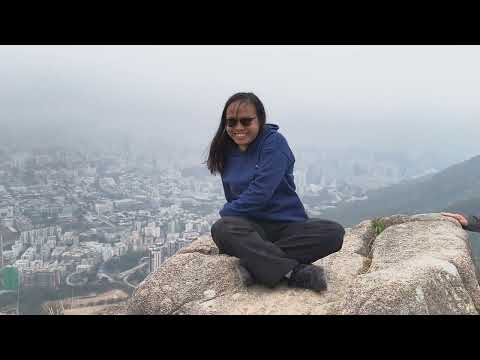Lion rock view from the top