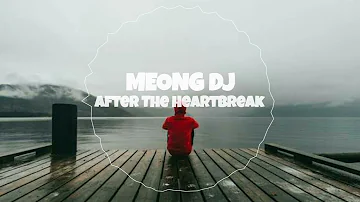 DJ FUNKY NIGHT!!! After The Heartbreak - [ M E O N G™] Bootleg!!!