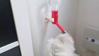 Pet Water feeder drikketud