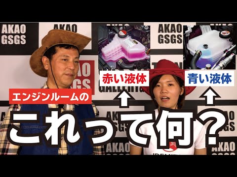 【教えて!!店長】エンジンルームのカラフルな液体って何？