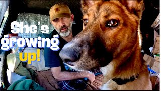 Off-Grid Camping Essentials - $2500 Camper Rebuild - Checking Out Larry&#39;s Rig @worklessenjoylifemore