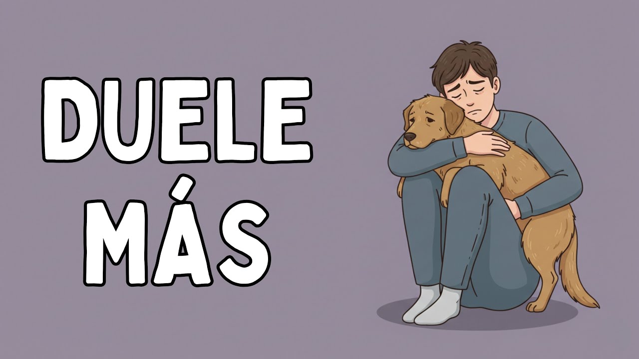 ¿Por qué es más fácil llorar por un perro que por un extraño?