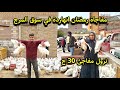 اسعار سوق المرج النهاردة في رمضان صدمة الفراخ ب 50 ج والبط 3 كيلو ب 150ج والسمك مفاجاة