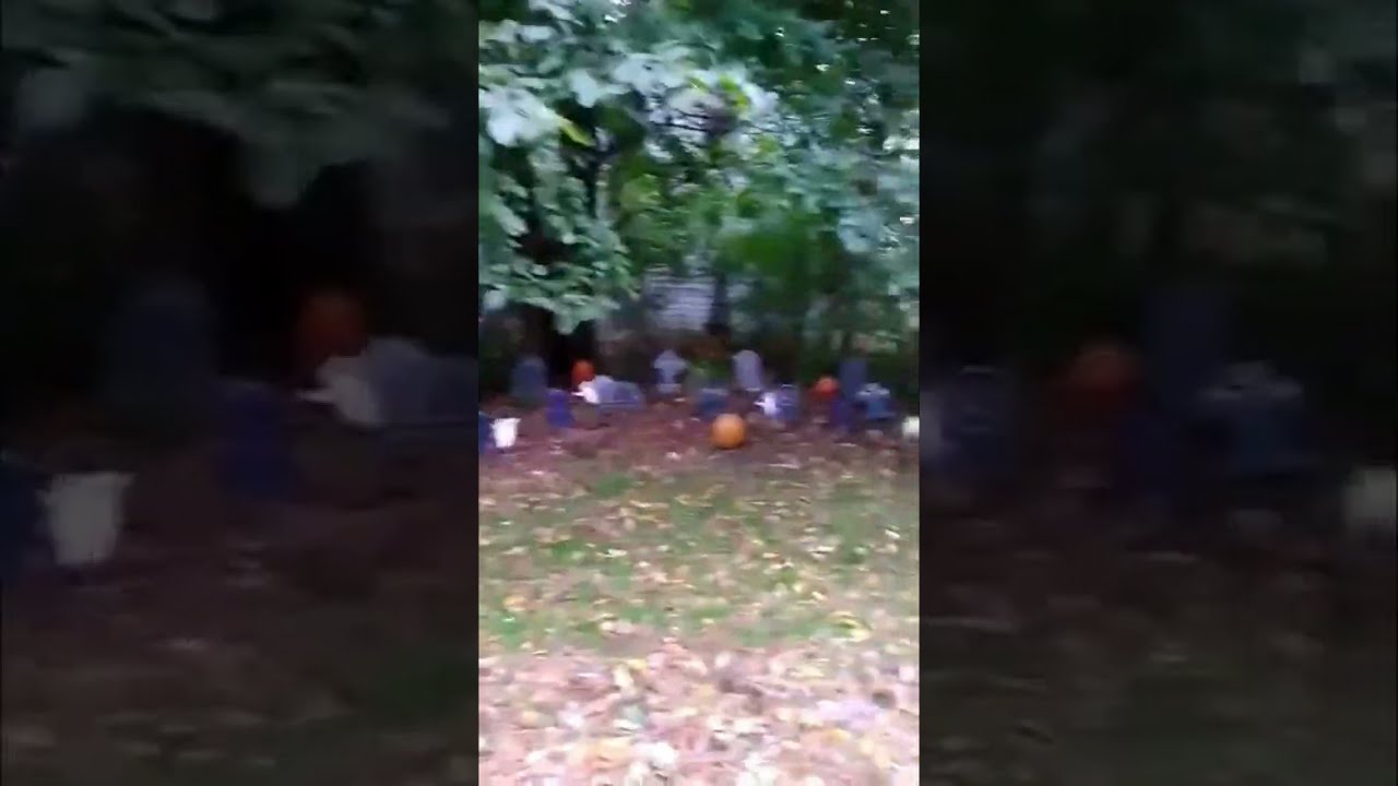 Halloween Graveyard With Pumpkins Outside Decorations - THE LTB SHOW