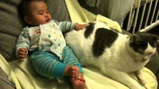 IMG_3900.MOV