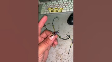 lưỡi câu lục ( tam săn hàng  siêu khủng tam thúng 18  chuyên săn hàng khủng từ 10-50kg  ) 120k/c)