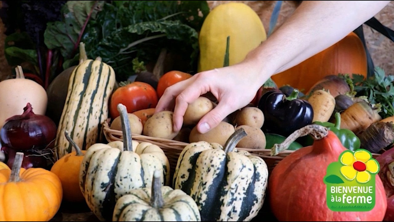 Accueillir le public à la ferme autrement grâce à Bienvenue à la ferme 🌼​