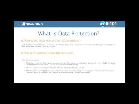 Demo and Description of Spanning Cloud Backup with Business Intelligence 101