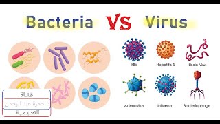 الفروقات الاساسية بين الفيروسات والبكتيريا بأبسط طريقة Viruses vs Bacteria