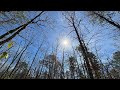 GWC Trips - Woods, Bays, Lakes, and Ponds - March 30-31, 2024