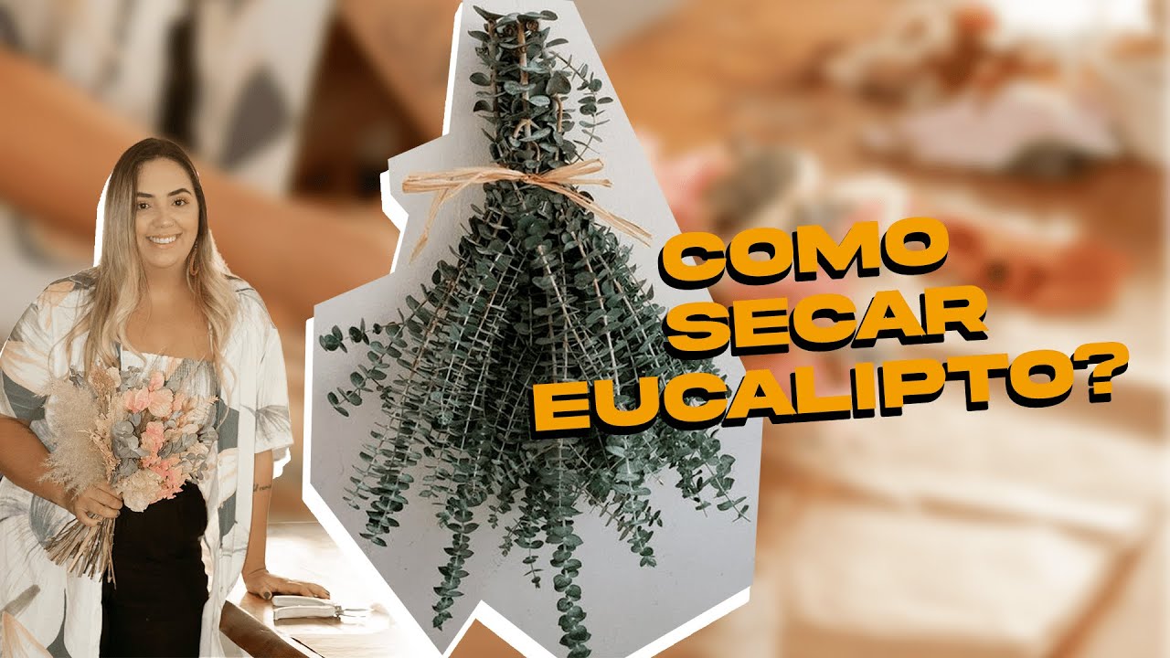 Como secar eucalipto? YouTube