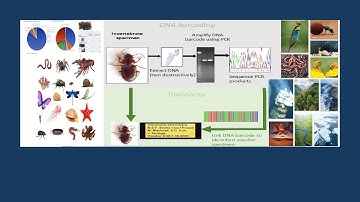 24 Feb 23 l DNA metabarcoding for assessing biodiversity - Melissa Carew & Richard Campbell