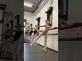 元気がでる曲　フラワーその2