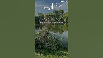 #سورة_النصر #تلاوة_تصعد_بك_لعنان_السماء #سبحان_الله_وبحمده #قرآن #كريم #quran #explore