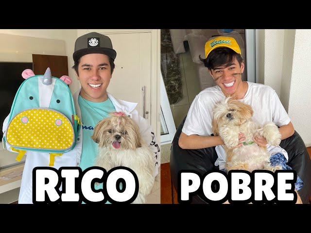 Cachorro de Rico Comendo X Cachorro de Pobre Comendo - Animais Fofinhos -  Graça de Pet