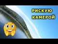 КИДАЮ КАМЕРУ ГОУ ПРО В СТАЮ РЫБЫ! Землянка промысловиков. Рыбалка на спиннинг, ловля окуня и щуки