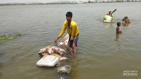 Mothe Village Tank - Jagityal Mandal - Jagityal District -  Telangana State - Season 2  May 2018