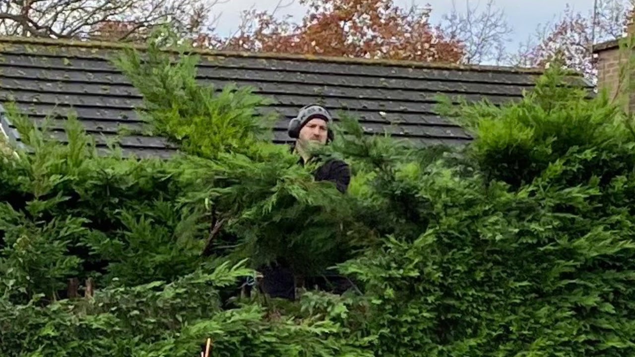 Hedge work - YouTube