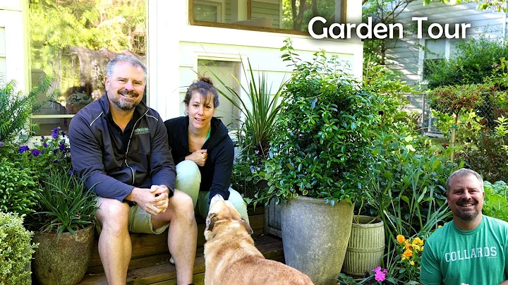 Meet Stephany Garden Tour - Hosta Tour!!