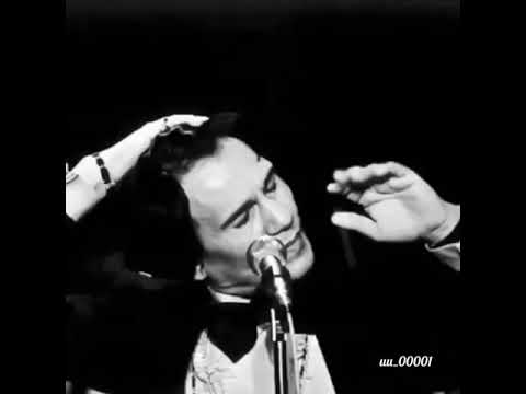 ولا ننسى حبايبنا أعز الناس