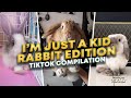 I&#39;m Just a Kid - Rabbit Edition