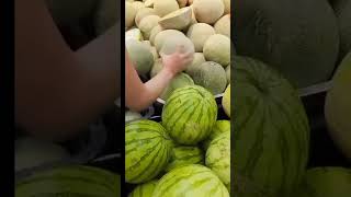 Melon Jenis Apa Ini Ya?3Gp Meli