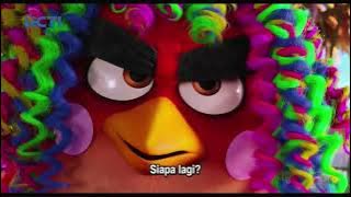 The Angry Birds Movie | Opening Intro on RCTI