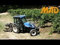 New Holland T4.110 F BlueCab4: in vigneto