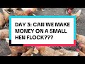 Day 3: Can We Make Money on a Small Hen Flock?