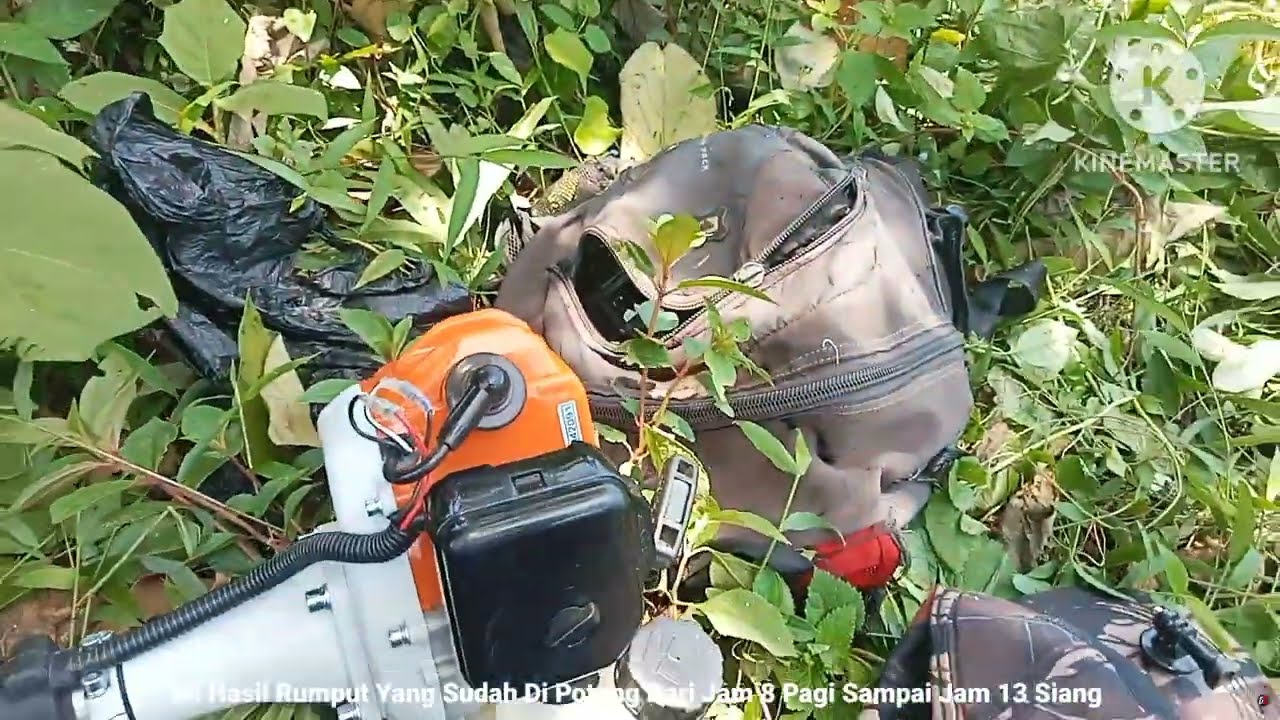 Part 2‼️Test Mesin Rumput STIHL FS 3001 Di Kebun