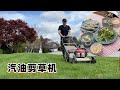 好邻居 草坪连一片养眼 午餐香煎黄鱼 萝卜汤【Garden Time 田园生活分享】 2023 5