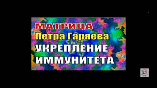 Лабораторная матрица П.П.Гаряева (отрывок)