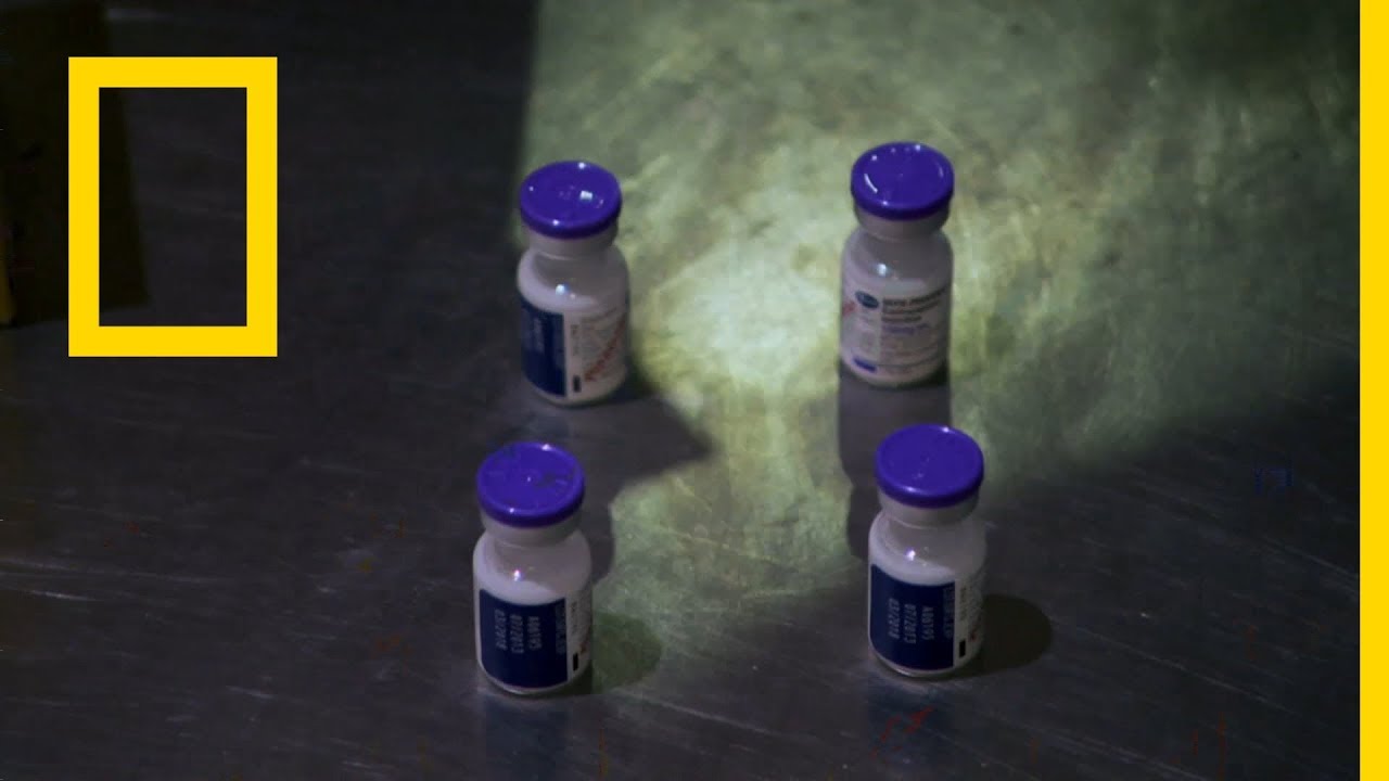 مطار دبي الدولي الموسم الثالث الحلقة 4 | ناشونال جيوغرافيك أبوظبي