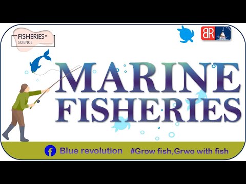 Part 1 -  Marine Fisheries - Finfish | Fish Production Marine Fisheries | Blue Revolution