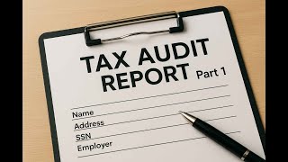 How to fill Tax Audit Utility Part 1