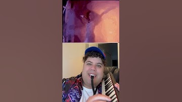 Thumbnail of I’m Coming Out: Diana Ross (Melodica Short)