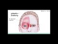 The Complete Guide to BOTOX Injections #shorts