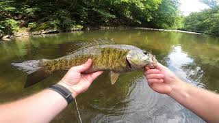 Wissahickon creek fishing