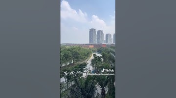 Đón bình minh tại nhà mới Sky Forest Ecopark 2025 thật là quá đỗi trong lành, không khí mát mẻ ngủ