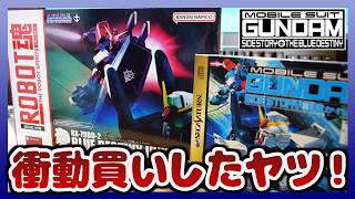 プレバン限定 ROBOT魂 ＜SIDE MS＞ RX-79BD-2 ブルーディスティニー2号機 ver. A.N.I.M.E. 開封！！